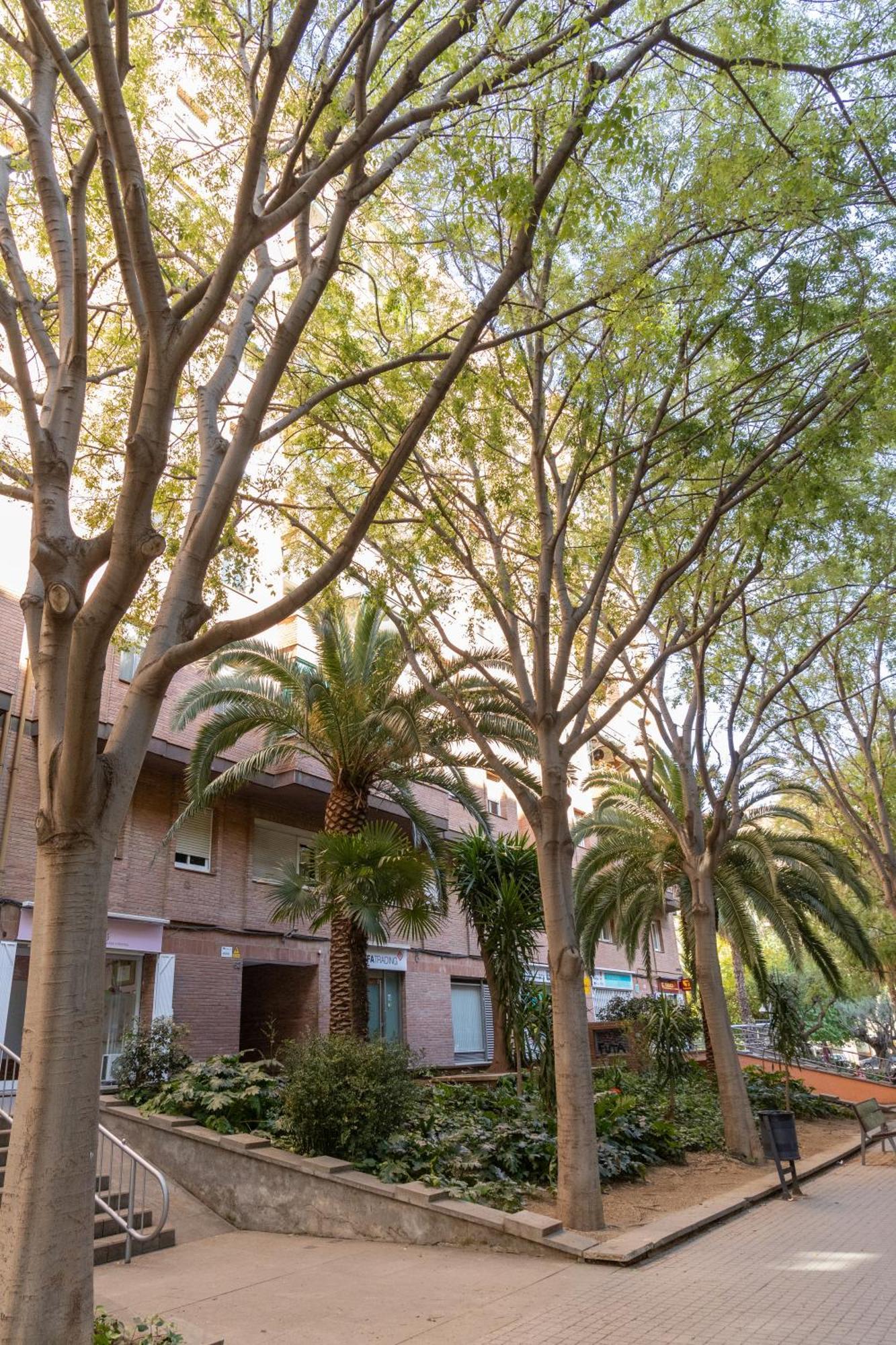 Precioso Atico Vistas Montjuic Apartment Barcelona Exterior photo